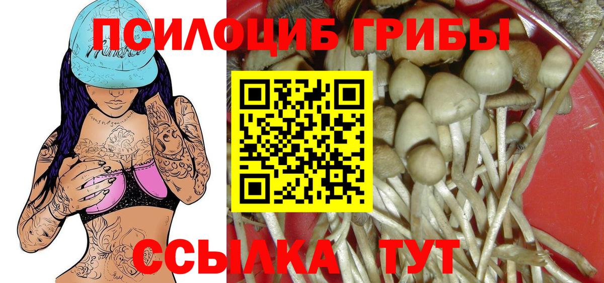 Псилоцибиновые грибы GOLDEN TEACHER Ангарск